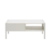 40.16 Rattan Coffee Table With Sliding Door, Metal Legs - Modern Living Room