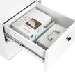Modern Night Stand Storage Cabinet For Living Room Bedroom, Steel Cabinet With 2 Drawers,Bedside Furniture, Circular Handle