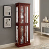 Lighted Curio Display Cabinet With Adjustable Shelves & Mirrored Back Panel