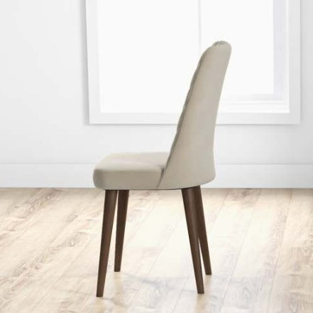 Katie Mid-Century Modern Velvet Dining Chair  Set Of 2